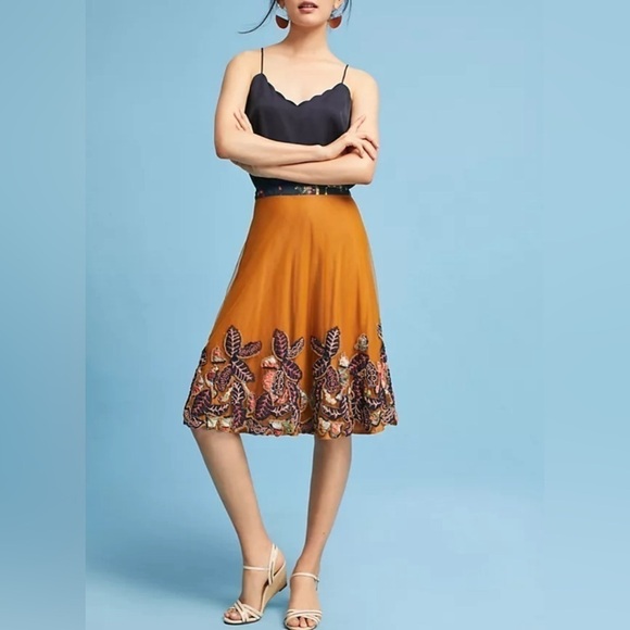 Anthropologie Dresses & Skirts - Anthropologie - Tulle and Embroidery midi Skirt